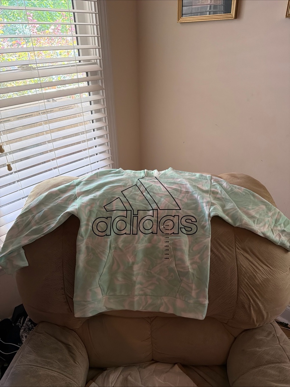 NWT Adidas Girls L Hoodie- Mint & White